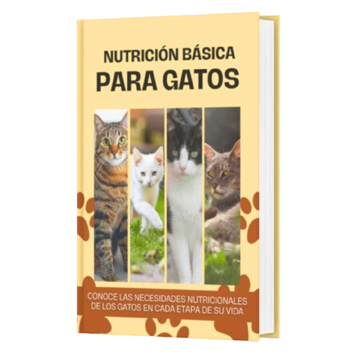 Portada Nutrición Básica